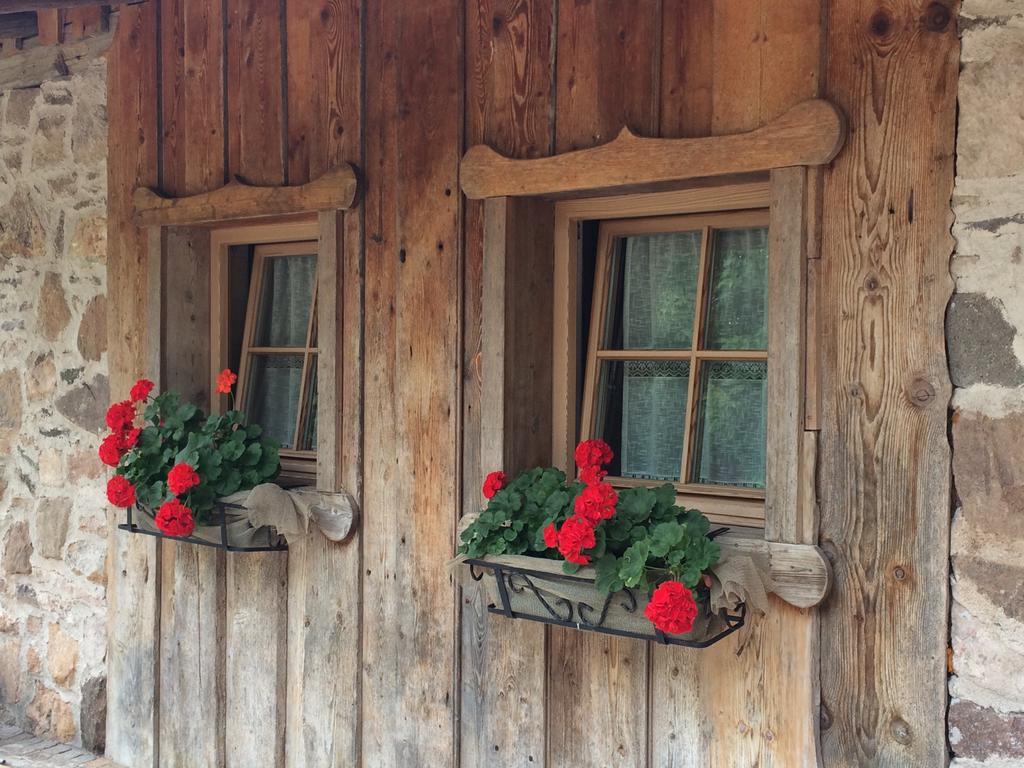 Maso Franceschella Bed and Breakfast Carano  Rum bild