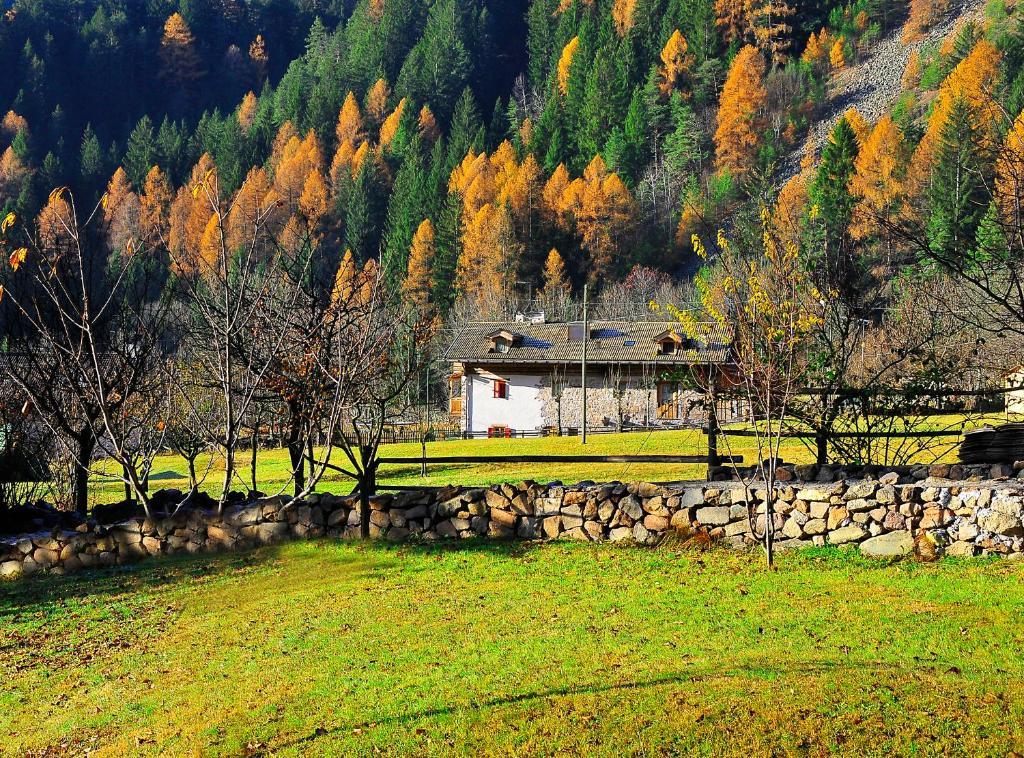 Maso Franceschella Bed and Breakfast Carano  Exteriör bild